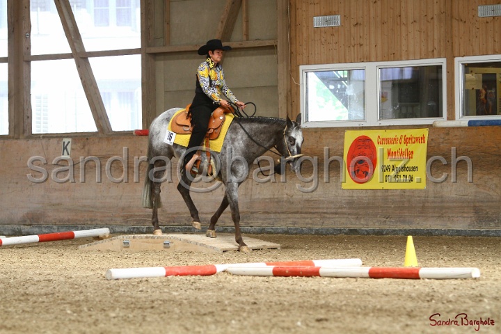 26-ApHC GT_234.jpg